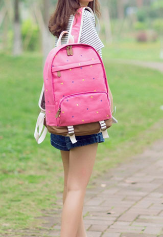 Cute Star Embroidered Leisure Canvas Backpack [grls72000020]